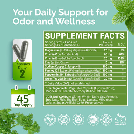 ZeniZest Chlorophyll Complex Supplement - Internal Freshness & Odor Support for Men & Women - Skin & Antioxidant Blend - 90 Vegan Capsules